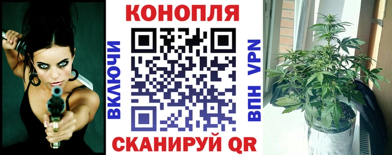 Купить где  Стерлитамак  Каннабис VHQ 